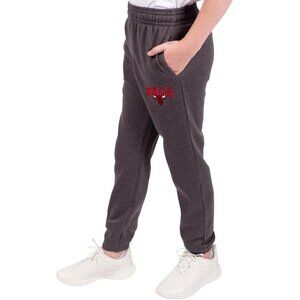 Chicago Bulls NBA Jogger Sweatpants Boys Gray Fleece Ultra Game Cargo 18-20